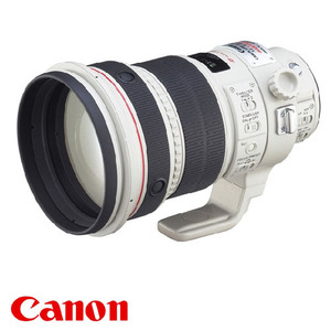 CANON EF 300mm F2.8 USM (non-is)